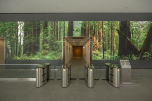 超现实景象:LED视频墙创意改善办公环境,多媒体信息发布系统,数字标牌,数字告示,digital signage